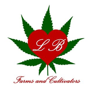 Fiore 1g Best Friend OG Cart (H)