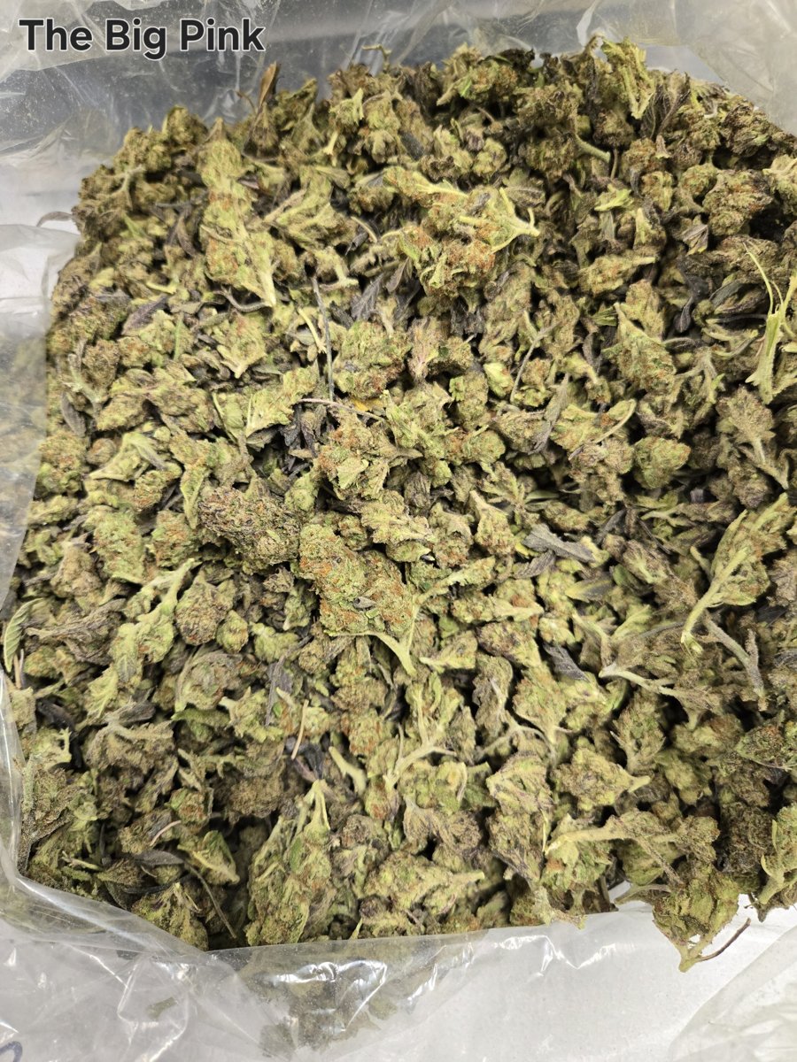 LBF The Big Pink (I) 10PK Pre-Roll (10g)