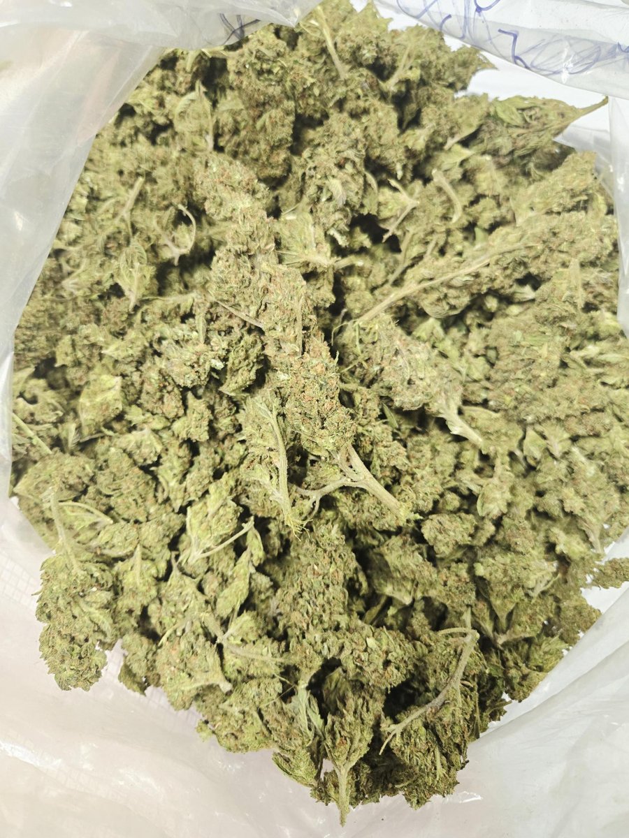 LBF Hell Cat 10PK Pre-Roll (10g)(S/H)